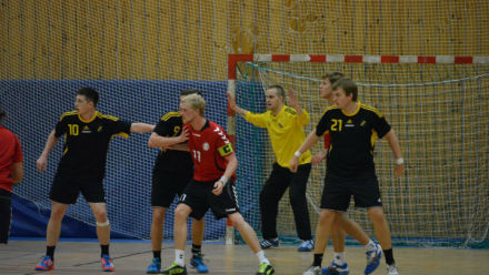 handboll_herr_2015_10