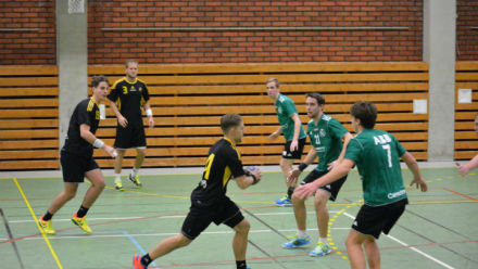 handboll_herr_2015_8